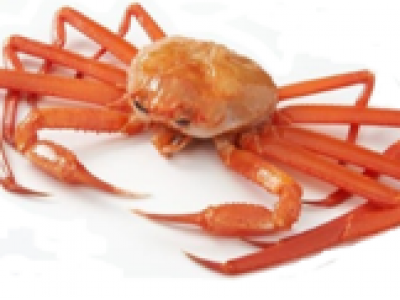 天然殼聚糖抗菌劑