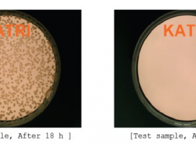 天然殼聚糖抗菌劑
