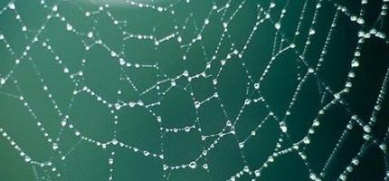 圖片關(guān)鍵詞