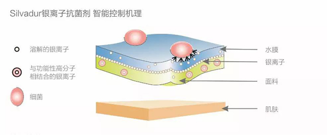 功能性服裝面料